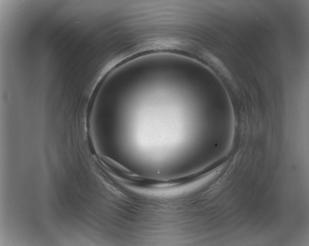 X0000068261226200604241223