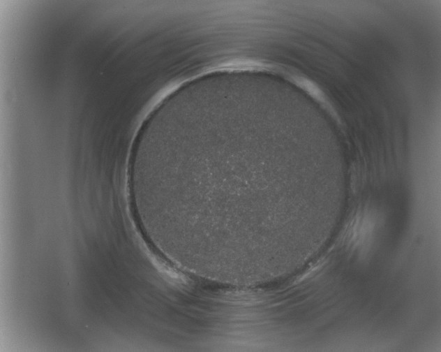 X0000068261229200604241223