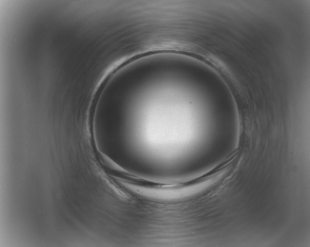 X0000068261230200604241223