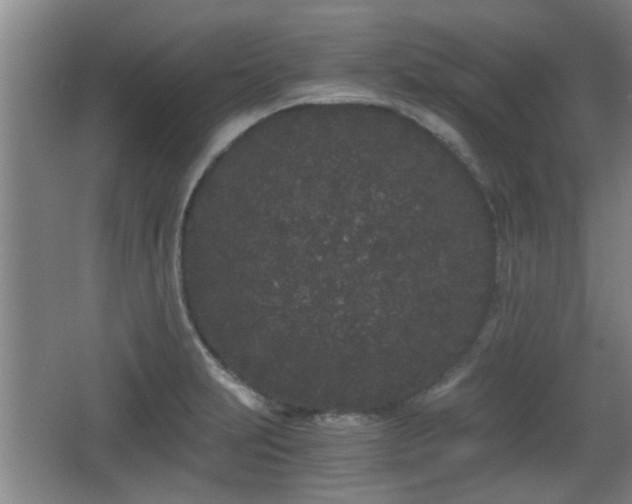 X0000068261231200604241223