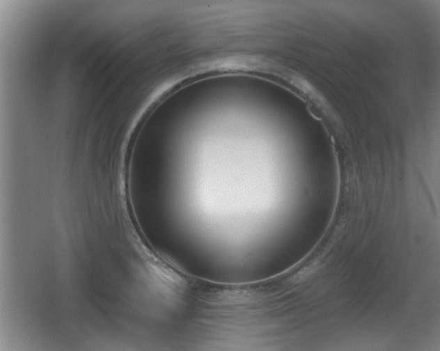 X0000068261232200604241223