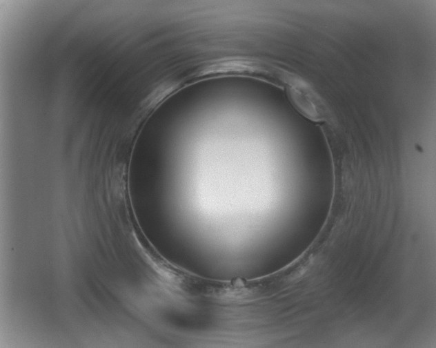 X0000068261233200604241223