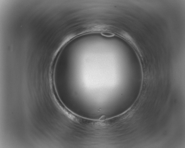 X0000068261235200604241223