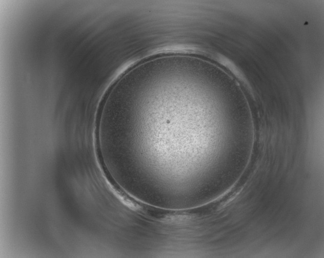 X0000068261237200604241223