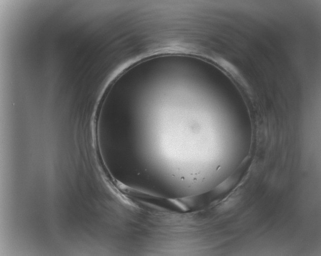 X0000068261238200604241223