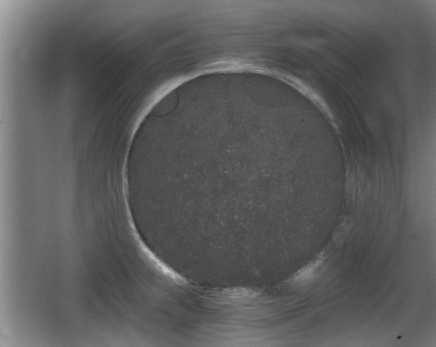 X0000068261239200604241223