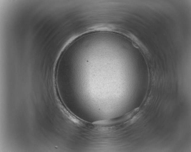 X0000068261240200604241223