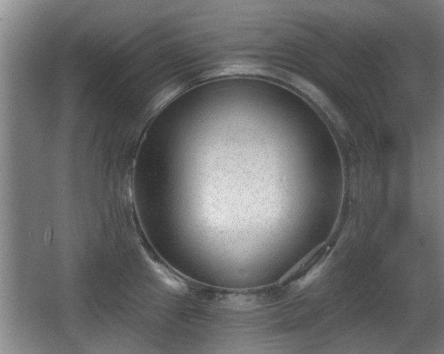 X0000068261241200604241223