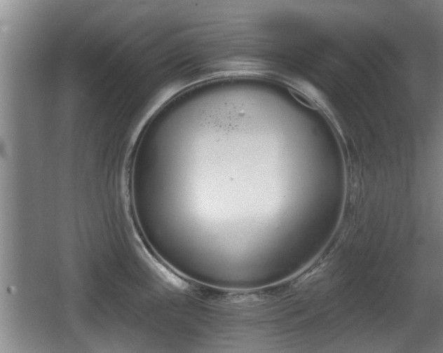 X0000068261243200604241223