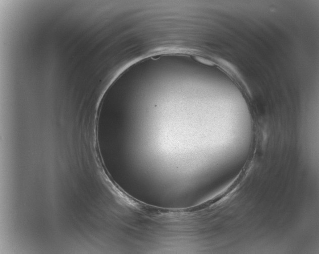 X0000068261244200604241223