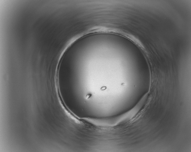 X0000068261247200604241223