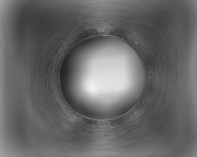 X0000068261249200604241223