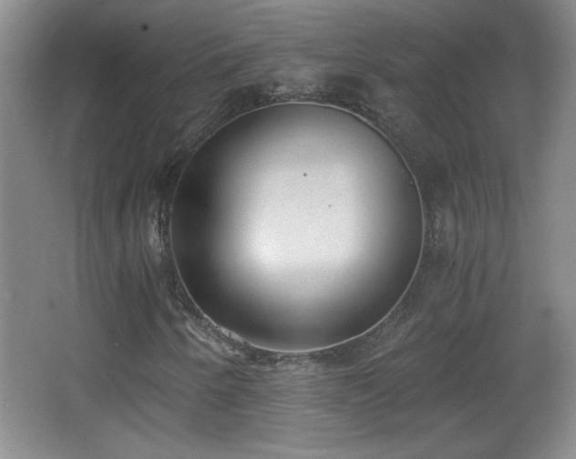 X0000068261250200604241223