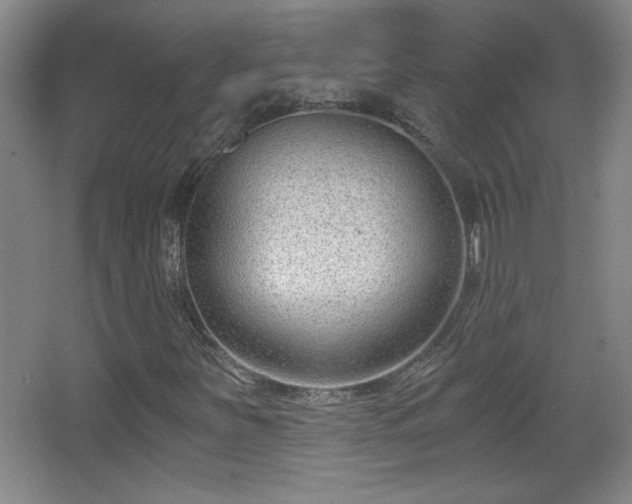 X0000068261251200604241222