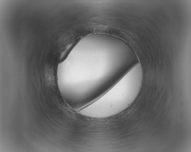 X0000068261252200604241222