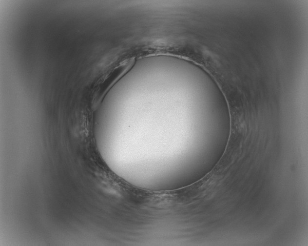 X0000068261253200604241222