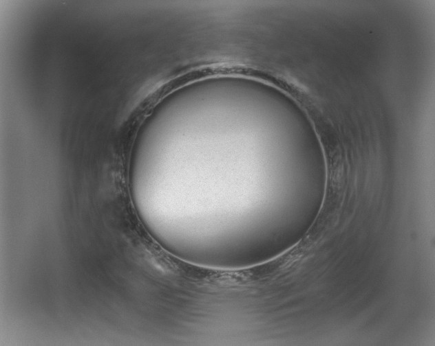 X0000068261255200604241222