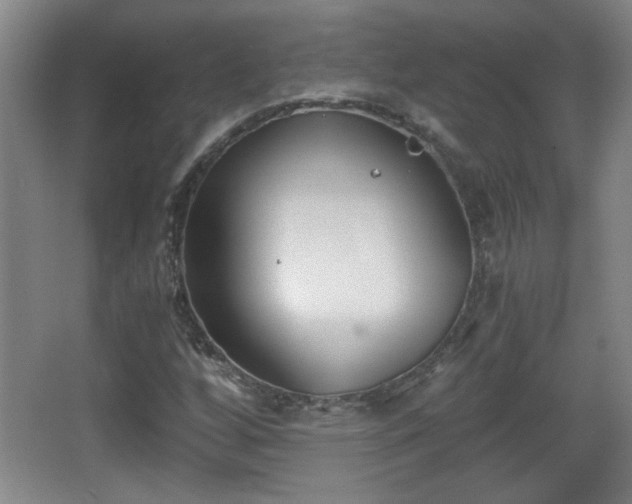 X0000068261256200604241222