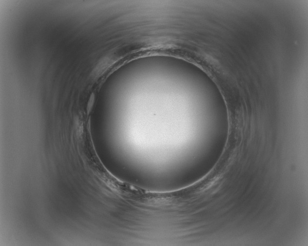 X0000068261257200604241222