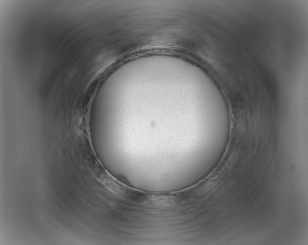 X0000068261258200604241222