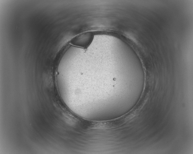 X0000068261259200604241222