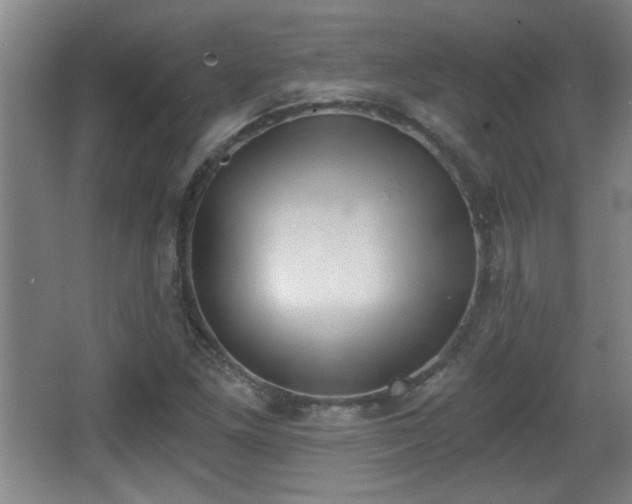 X0000068261261200604241222