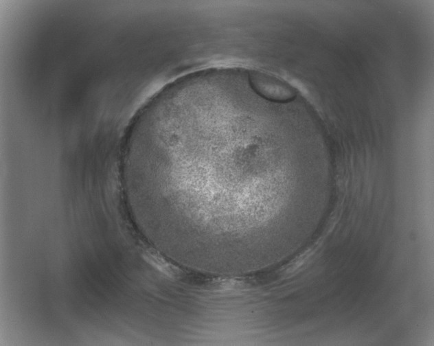 X0000068261263200604241222