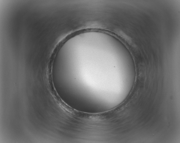 X0000068261264200604241222