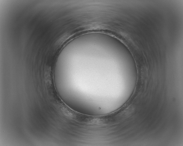 X0000068261265200604241222