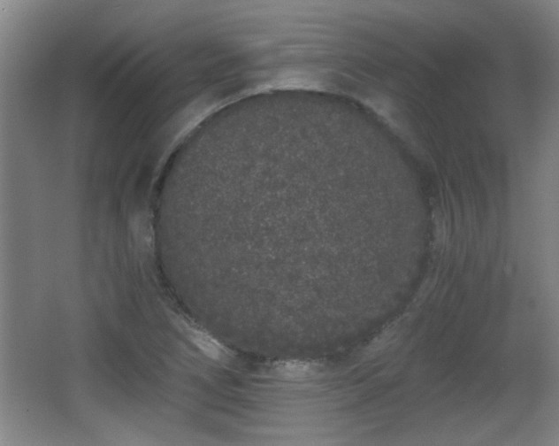 X0000068261266200604241222