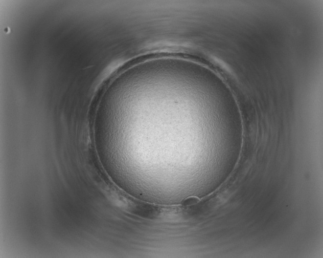 X0000068261267200604241222