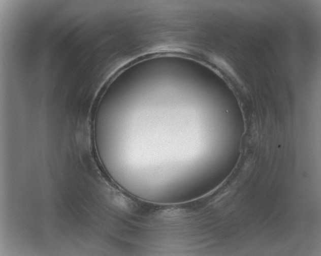 X0000068261268200604241222