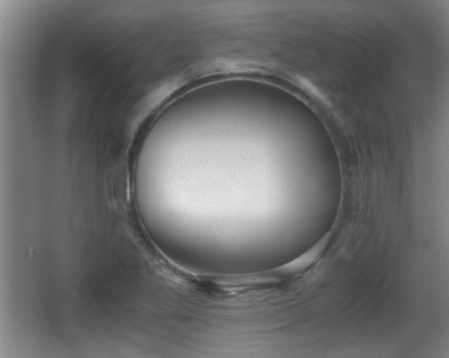 X0000068261269200604241222