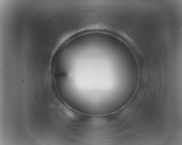 X0000068261270200604241222