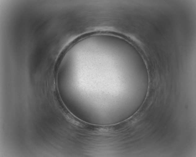 X0000068261271200604241222