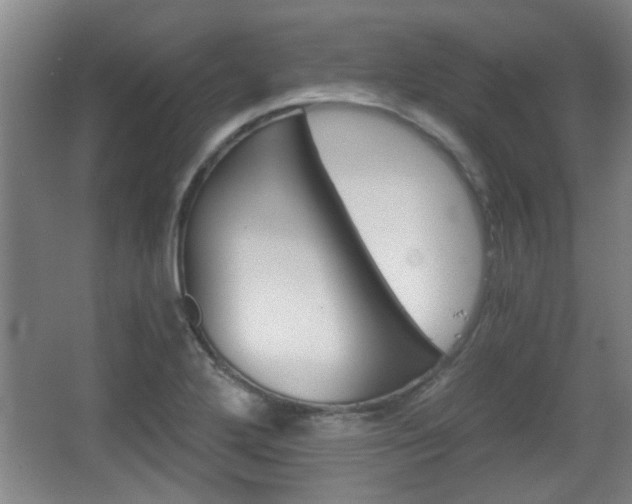 X0000068261272200604241222