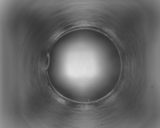 X0000068261273200604241222