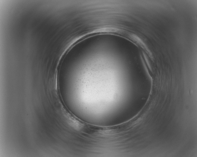 X0000068261276200604241222