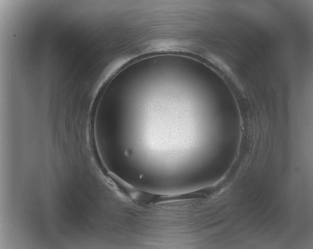 X0000068261277200604241222