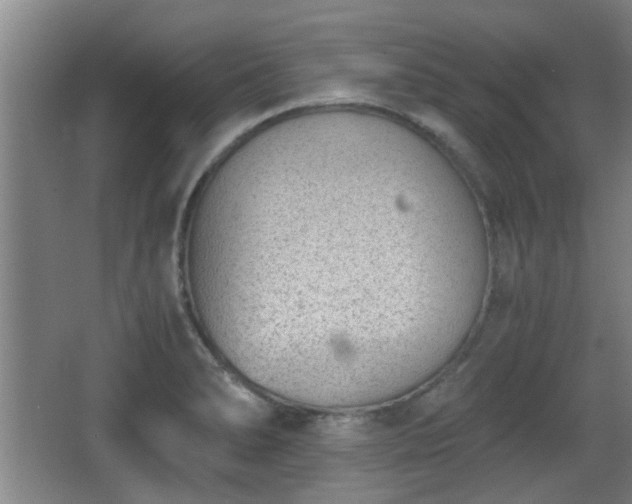 X0000068261278200604241222