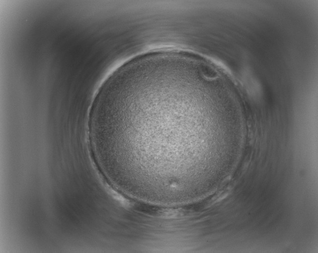 X0000068261279200604241222