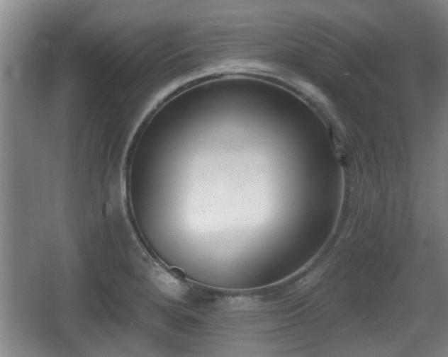 X0000068261280200604241222