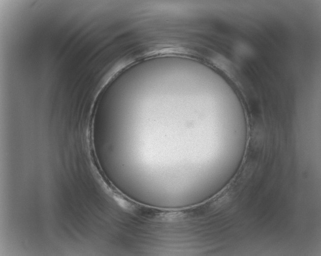 X0000068261282200604241222