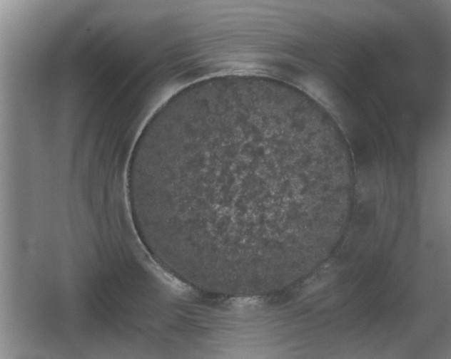 X0000068261283200604241222