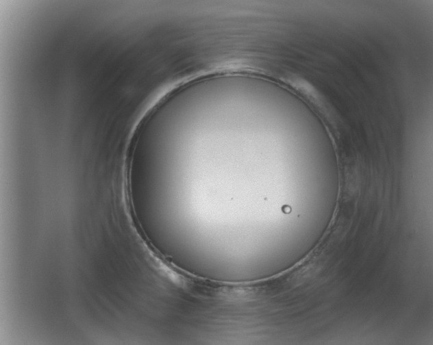 X0000068261286200604241222