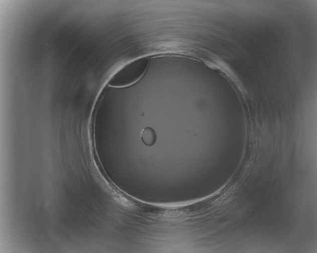 X0000068261291200604241222