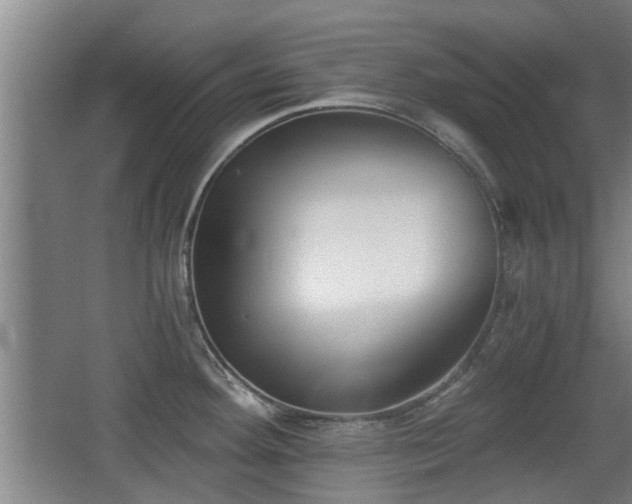 X0000068261292200604241222