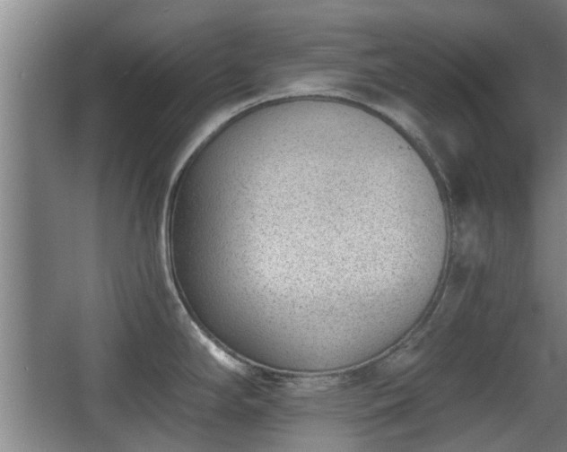 X0000068261294200604241222