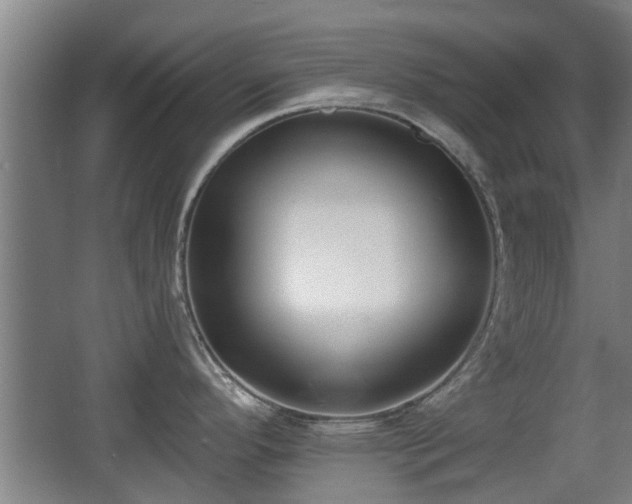 X0000068261296200604241222