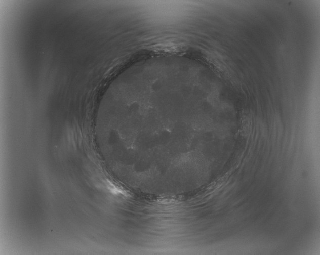 X0000068261297200604241221